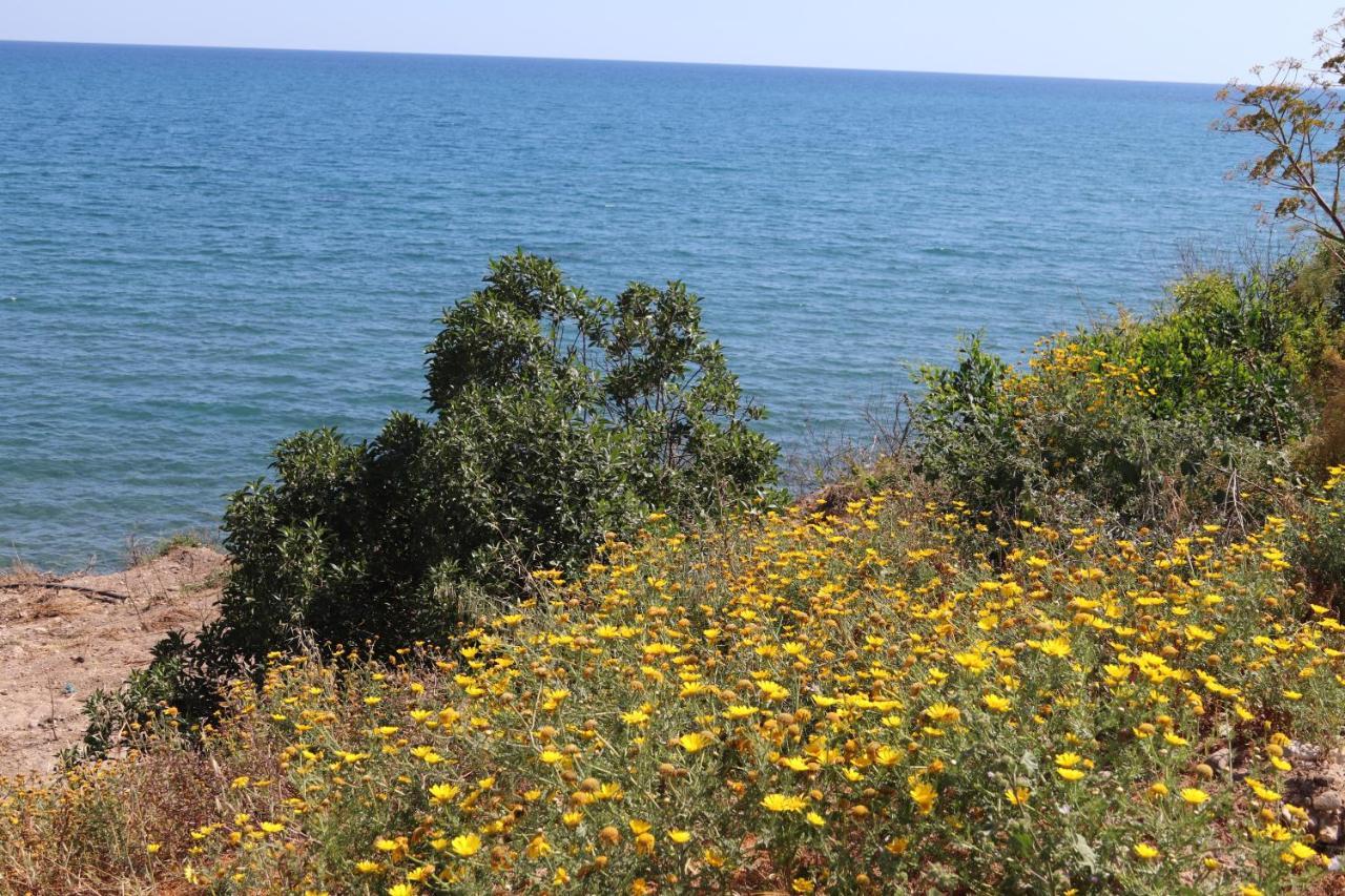 Summer Dream Cyprus Maroni Exterior foto