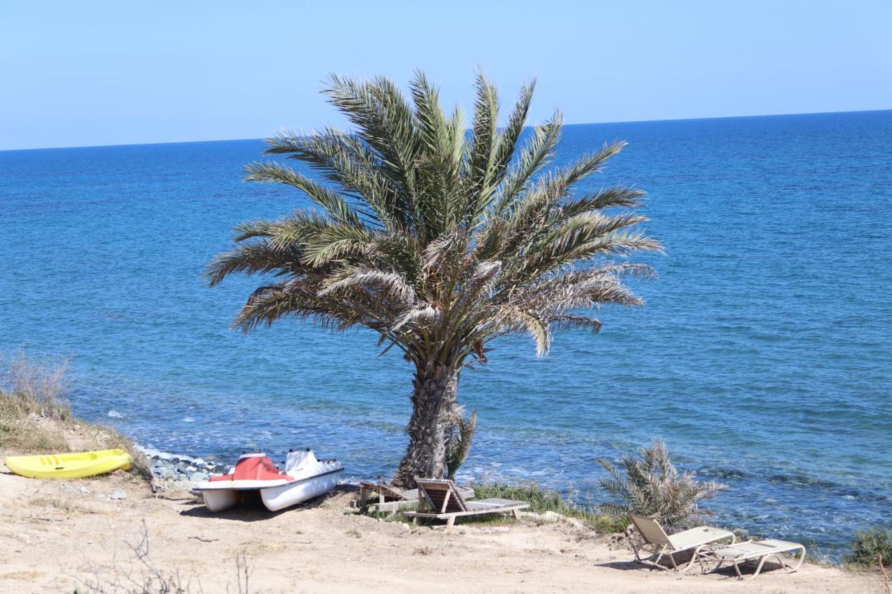 Summer Dream Cyprus Maroni Exterior foto