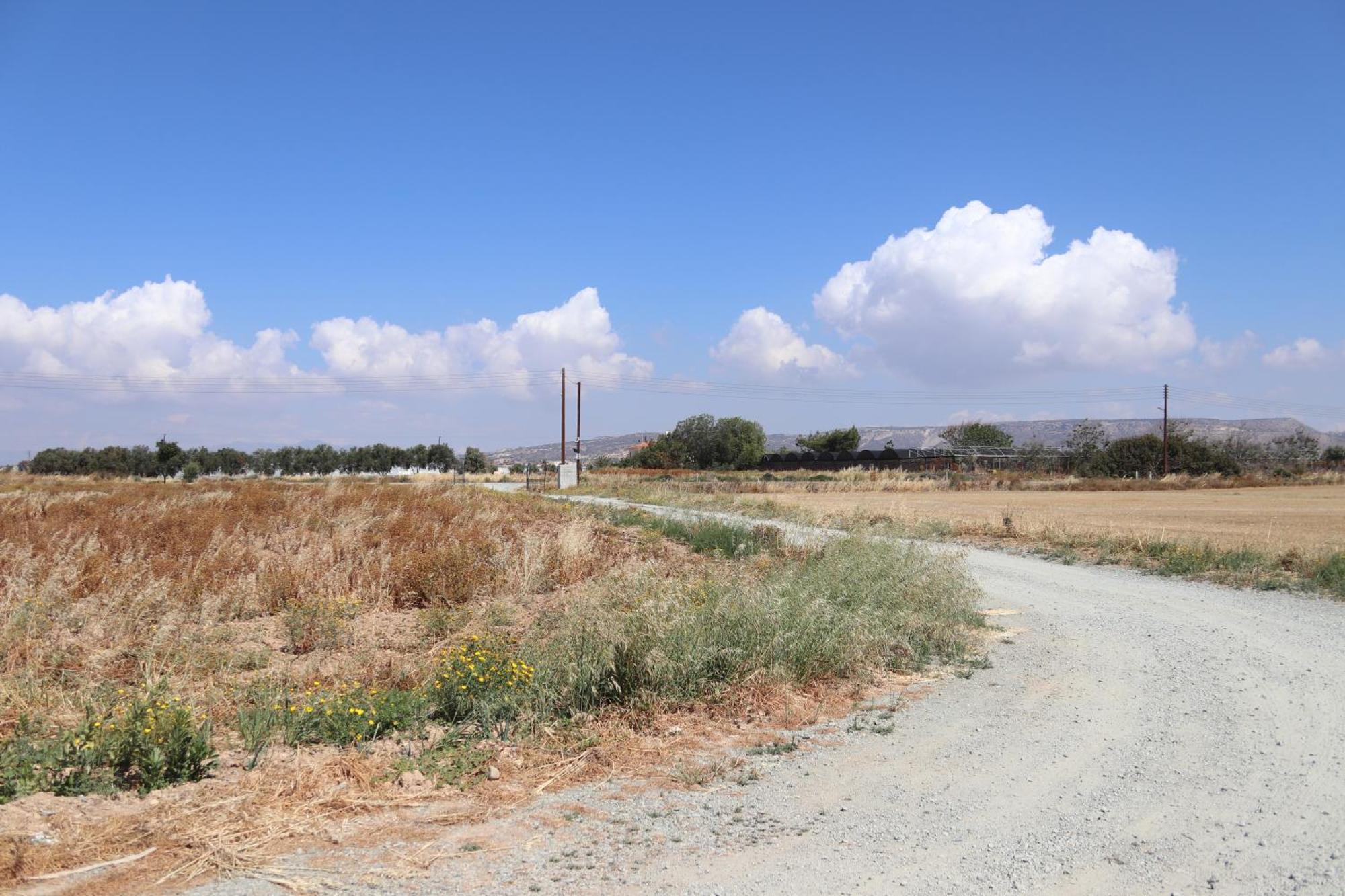 Summer Dream Cyprus Maroni Exterior foto